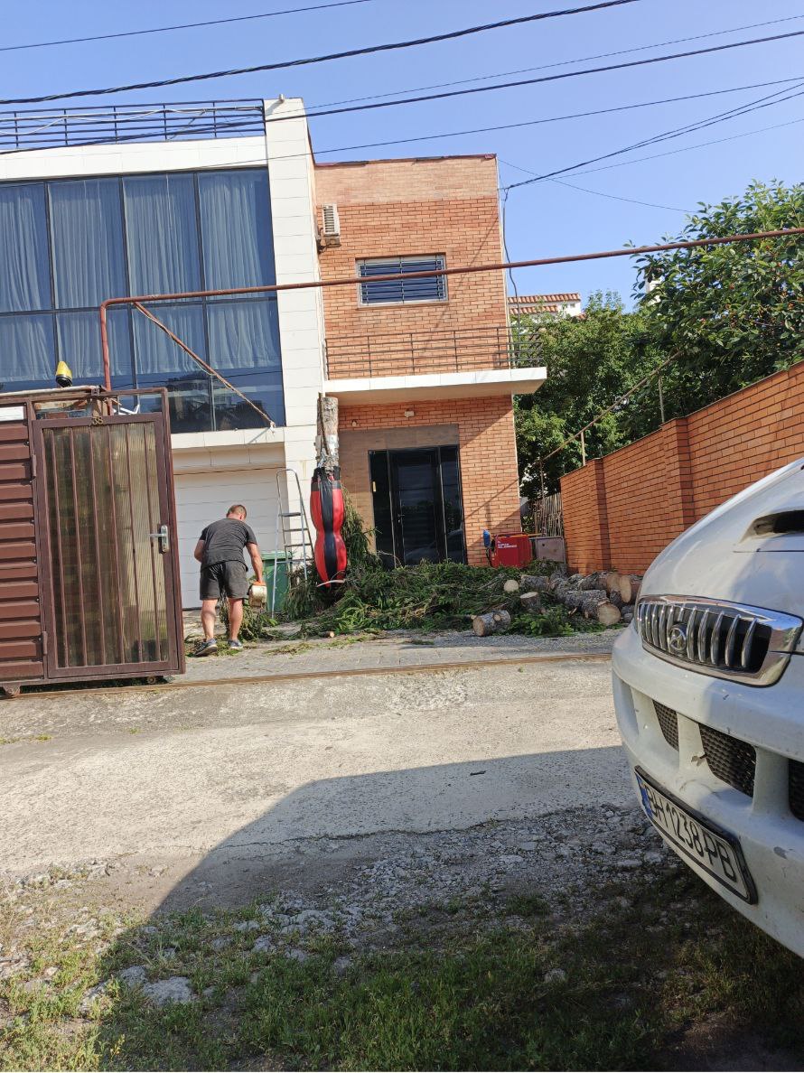 Спил деревьев возле частного дома: важность своевременной работы Спил дерева возле дома